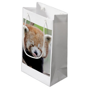 Sacola Para Presentes Pequena Gift Bag Photo red panda, animais 0269.