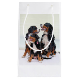 Sacola Para Presentes Pequena grupo do cão de montanha bernese