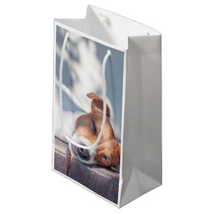 Sacola Para Presentes Pequena Jack Russel no patamar do outono