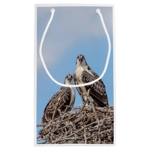 Sacola Para Presentes Pequena Juvenil Osprey no ninho