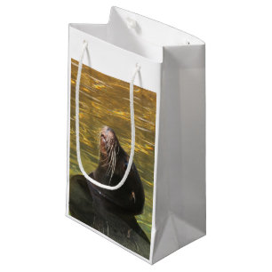 Sacola Para Presentes Pequena Leão-marinho