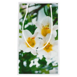Sacola Para Presentes Pequena Lilios Brancos - Flor de Lírio Lilium candidum 