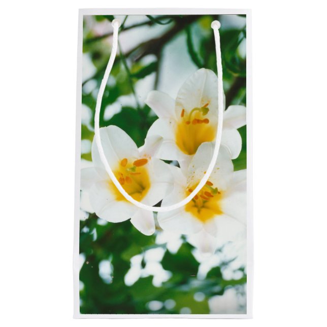 Sacola Para Presentes Pequena Lírios brancos - Lily Flower Lilium candidata (Frente)
