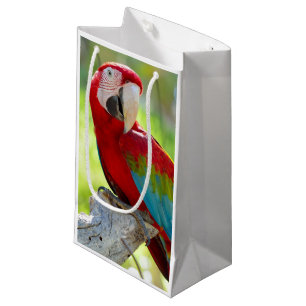 Sacola Para Presentes Pequena Macaw que senta-se no ramo