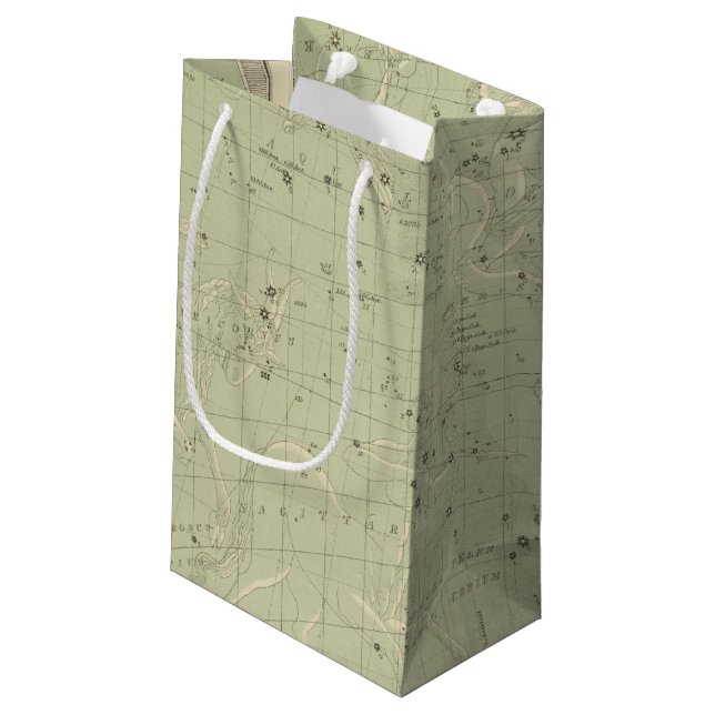 Sacola Para Presentes Pequena Mapa de estrela 2 (Verso inclinado)