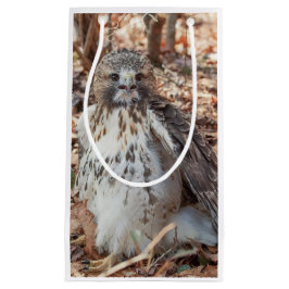 Sacola Para Presentes Pequena O vermelho atou o falcão dobrado