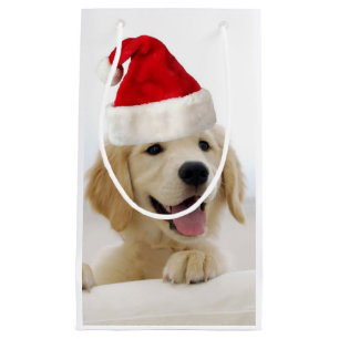 Sacola Para Presentes Pequena Ouro Retriever Puppy Natal