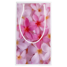 Padrão de Flor de Plumeria Rosa