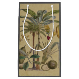 Sacola Para Presentes Pequena Palm Antique Fruta Tropical Arte Botânica