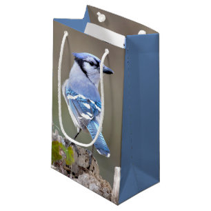 Sacola Para Presentes Pequena Passarinho azul de jay em Treestump