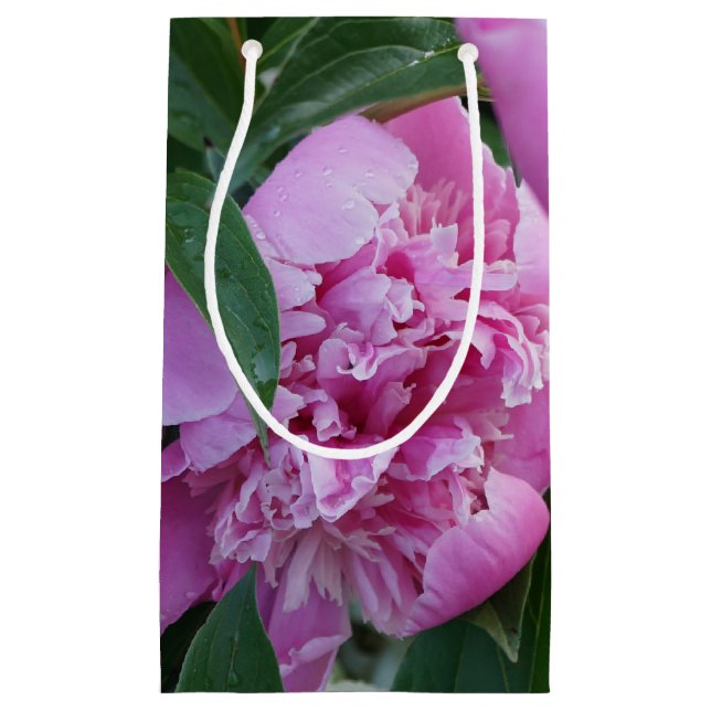 Sacola Para Presentes Pequena Peônia Rosa (Frente)