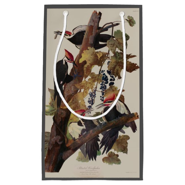 Sacola Para Presentes Pequena Pica-Pica-Pica-Pica Audubon Pileada (Frente)