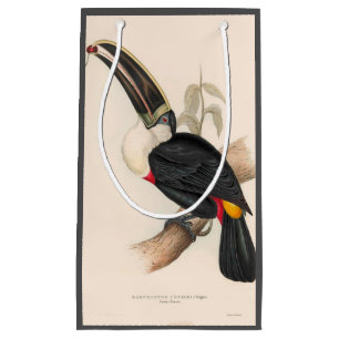 Sacola Para Presentes Pequena Pintura Antiquada de Pássaros Toucanos