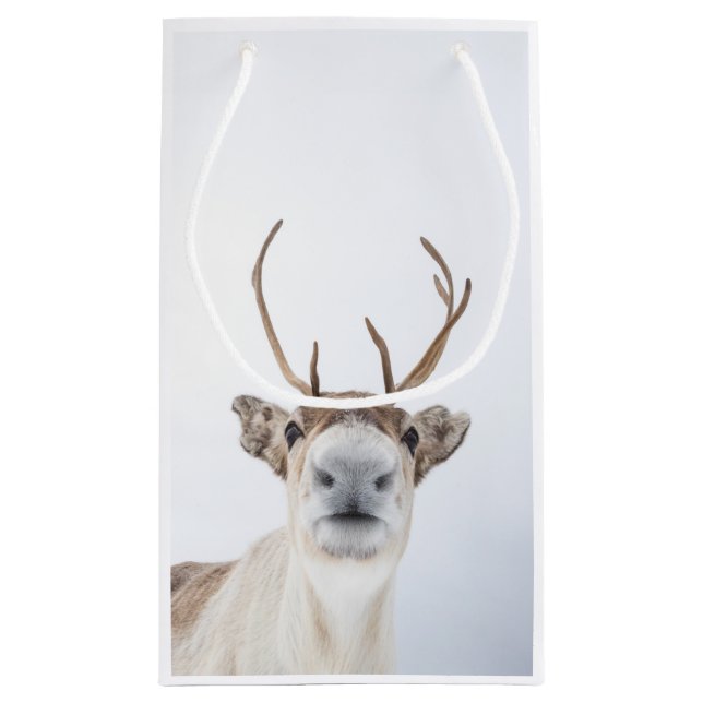 Sacola Para Presentes Pequena Reindeer Nature Photo (Verso)