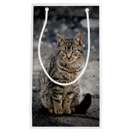 Sacola Para Presentes Pequena Retrato de um gato