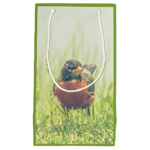 Sacola Para Presentes Pequena Robin Bird Green