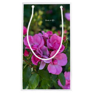 Sacola Para Presentes Pequena Rosa Rosa Rosa lavanda