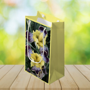 Sacola Para Presentes Pequena Roxo e Amarelo sem Maçã Suspiro Floral