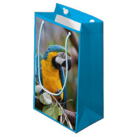 Saco azul e amarelo do presente do Macaw
