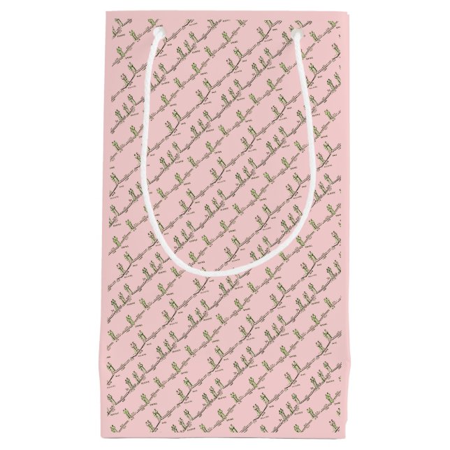 Sacola Para Presentes Pequena Saco de Presente de Aulas de Dança (Rosa) (Frente)
