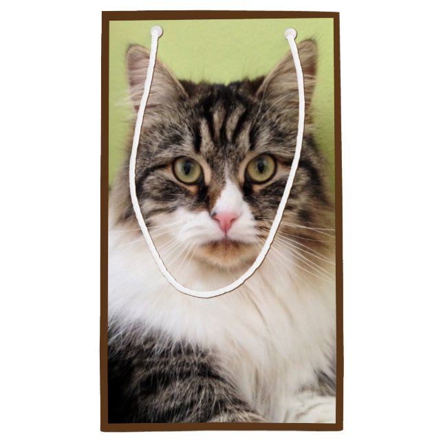 Sacola Para Presentes Pequena Saco Siberian do presente do gato (Verso)