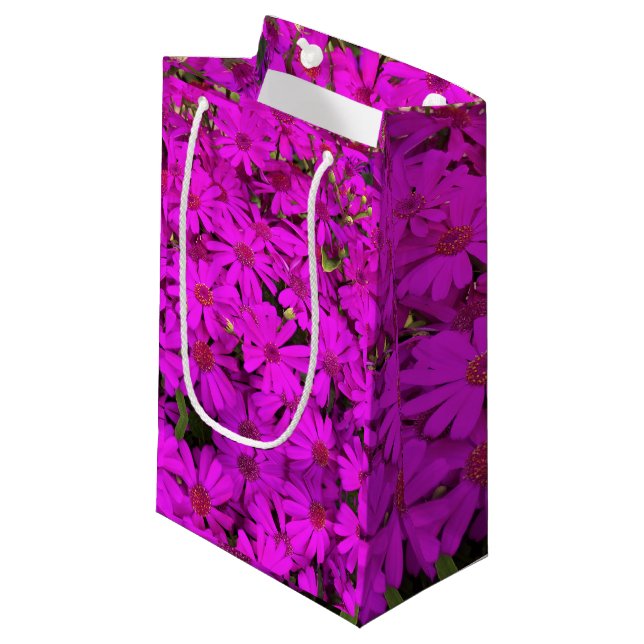 Sacola Para Presentes Pequena Sm Gift Bag Bright Rosa Daisies (Frente inclinada)