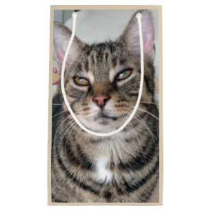 Sacola Para Presentes Pequena Tabby Cat Fotografia Adorável Bag para Presente