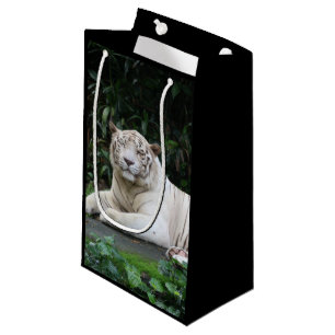 Sacola Para Presentes Pequena Tigre Bengala Preto e Branco relaxado e sorrindo