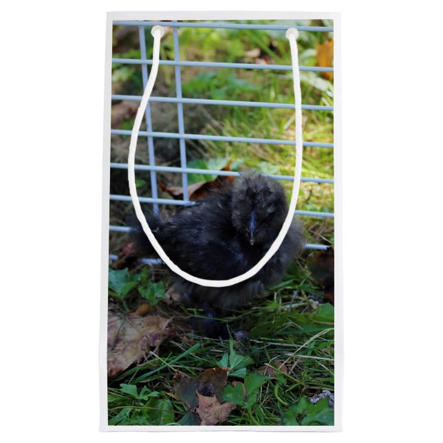 Sacola Para Presentes Pequena Um bebê Silkie (Frente)