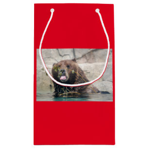 Sacola Para Presentes Pequena Urso Grelha na Água
