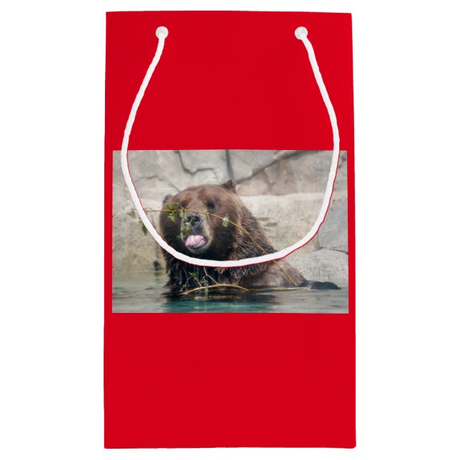 Sacola Para Presentes Pequena Urso Grelha na Água (Verso)