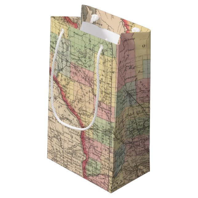 Sacola Para Presentes Pequena Wisconsin 7 (Verso inclinado)