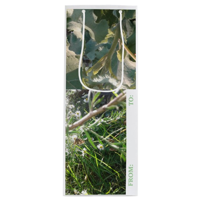 SACOLA PARA VINHO CARTÃO DE PRESENTE DO VINHO COMBO/ DESIGN MMETROPO (Frente)