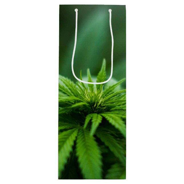 Sacola Para Vinho Linda Fábrica De Refeições (Frente)