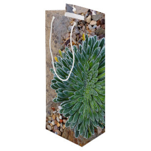 Sacola Para Vinho Planta de deserto do Succulent
