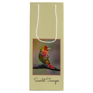 Sacola Para Vinho Scarlet Tanager Molting - Fotografia original