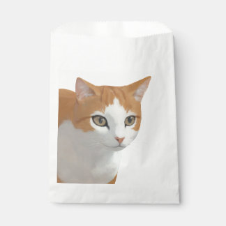 Sacolinha Arte de Gato Ginger Adorável