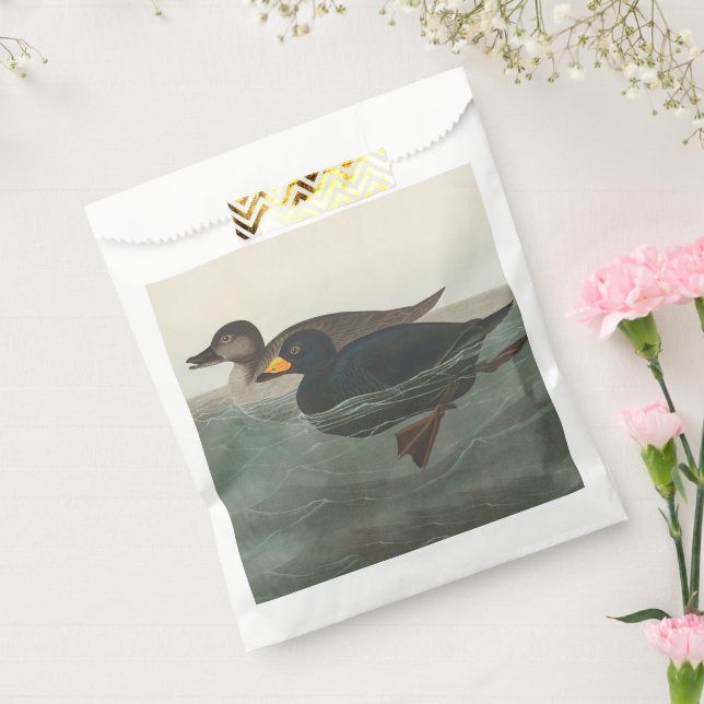 Sacolinha Audubon American Scoter Duck Classic (Selado)
