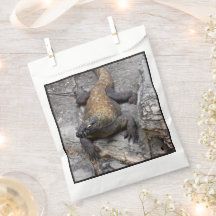 Bolsa Cena do Dragão de Komodo Rocky