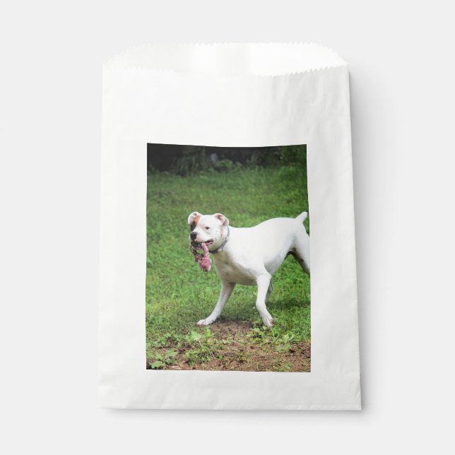 Sacolinha Boxer (Frente)
