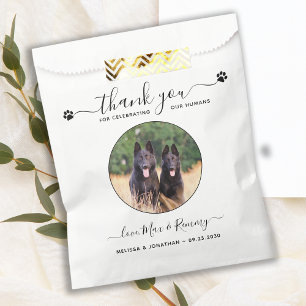 Sacolinha Cachorro Personalizado De Pet Casado