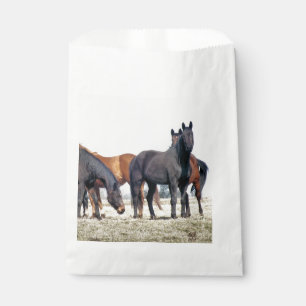 SACOLINHA CAVALOS