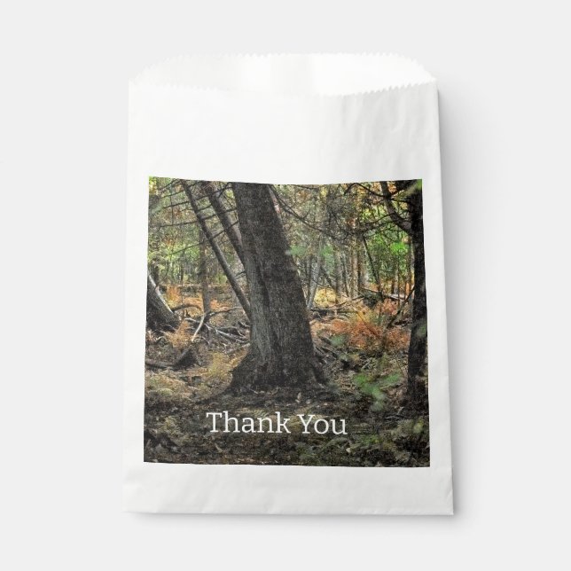 Sacolinha Cena de floresta outonal            (Frente)