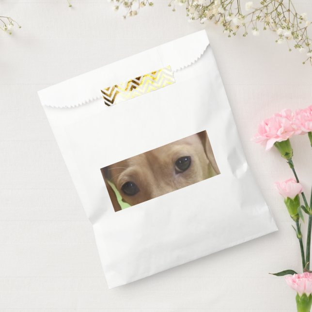 Sacolinha Dachshund Eyes Cream (Selado)