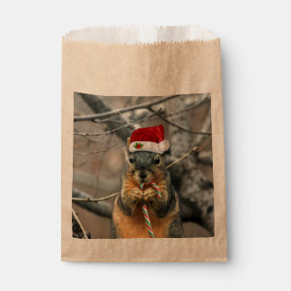 Sacolinha Esquilo de Natal