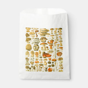 Sacolinha Ferramentas de Vintagem de Cogumelo Arte Botânica
