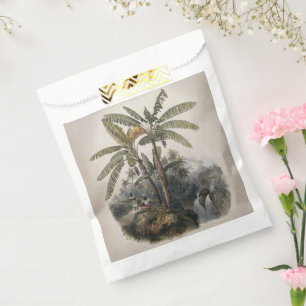 Sacolinha Floresta Antiga de Bananeiras Tropicais Bota Vin