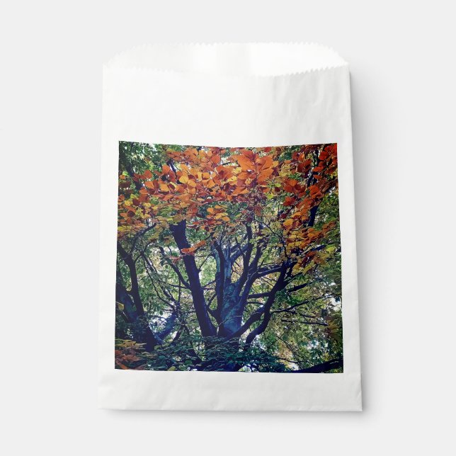 Sacolinha Folhas de laranja (Frente)