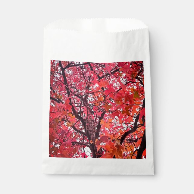 Sacolinha Folhas rosa (Frente)