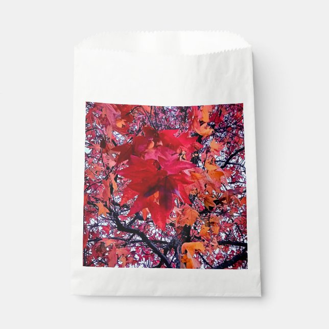 Sacolinha Folhas vermelhas brilhantes (Frente)